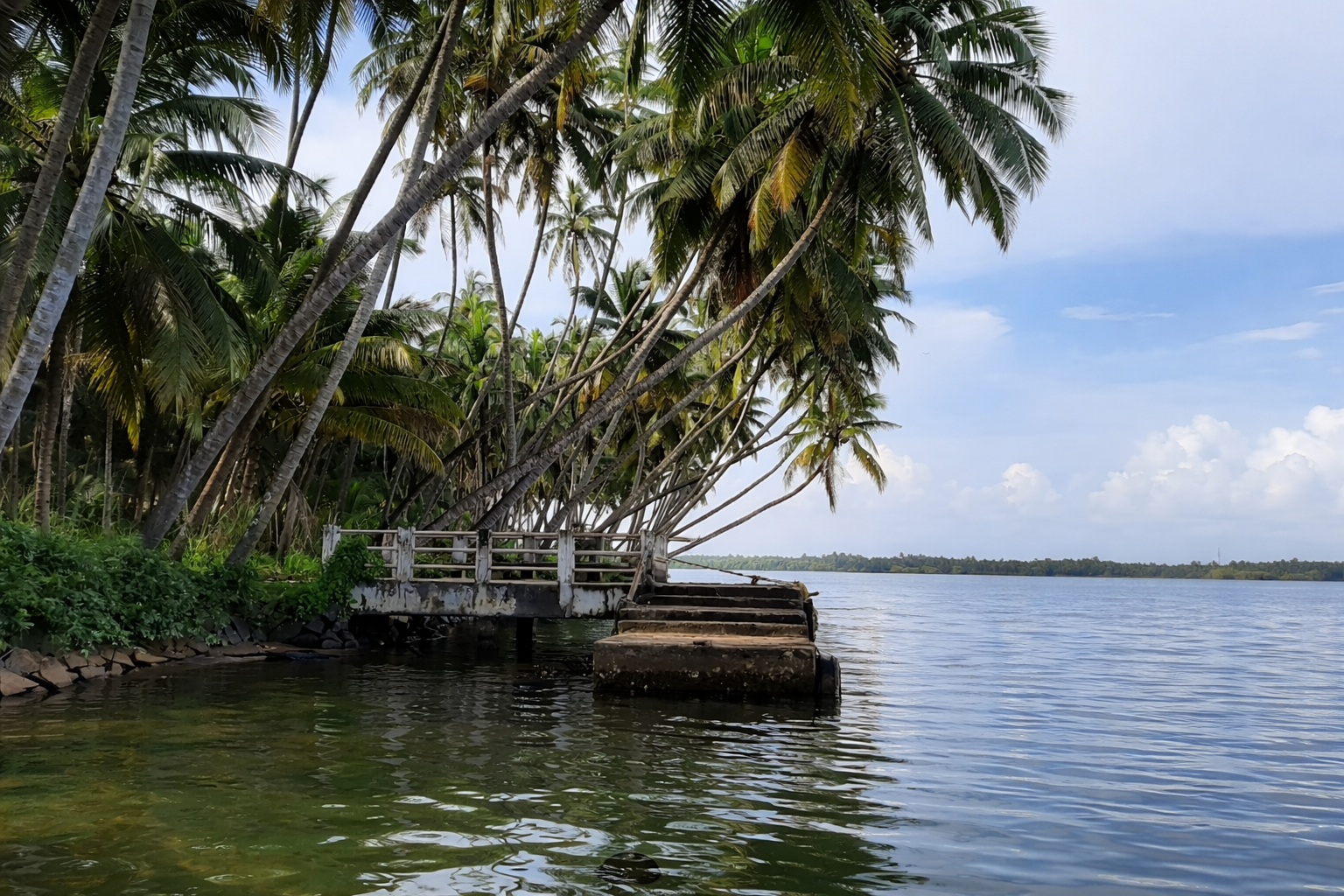 Valiyaparamba Backwaters